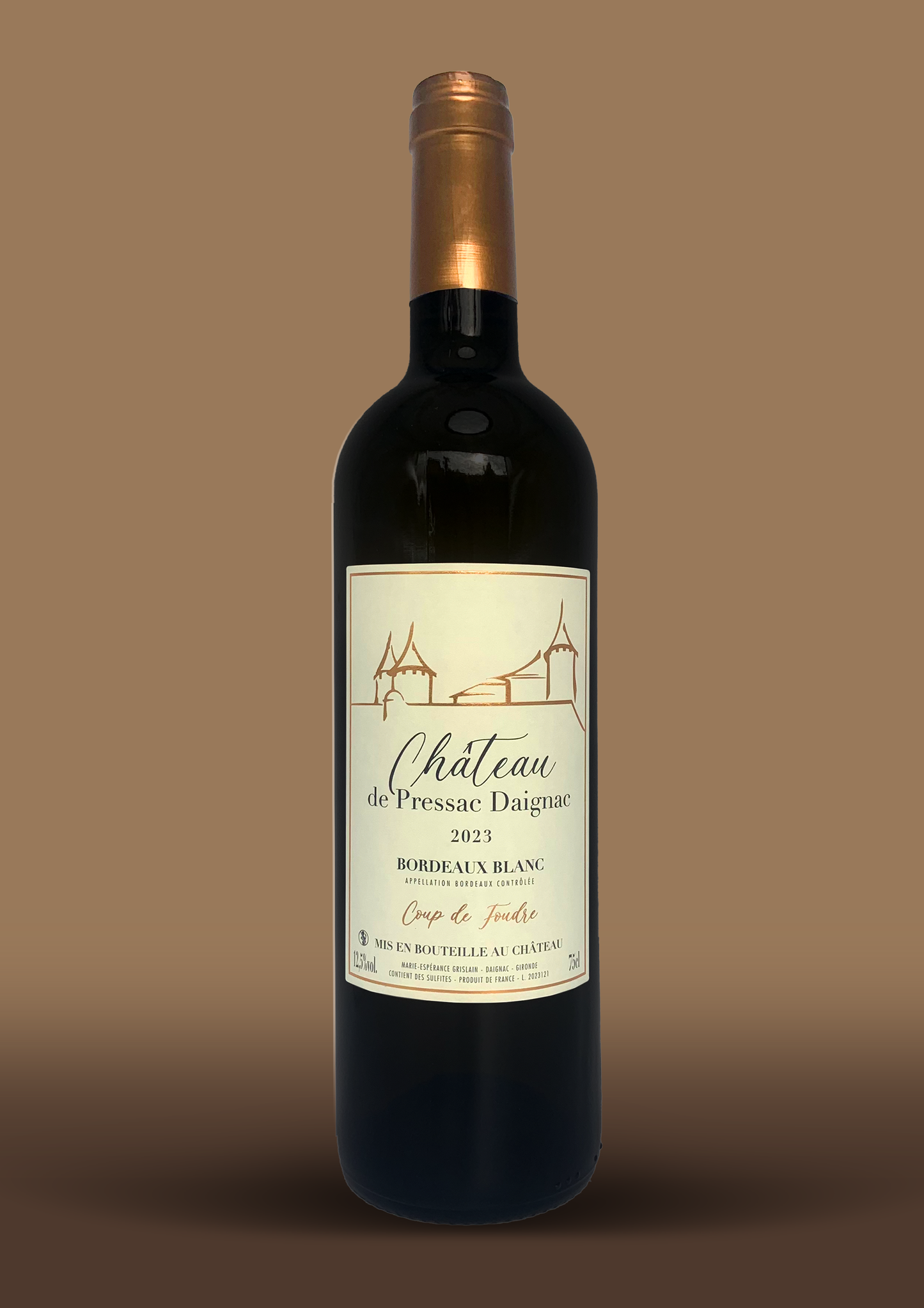 Bordeaux Blanc 2023, élevé en fût de chêne - Coup de Foudre (6)